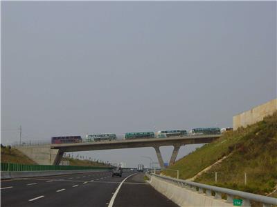 C318標東山路跨越橋-174K+000